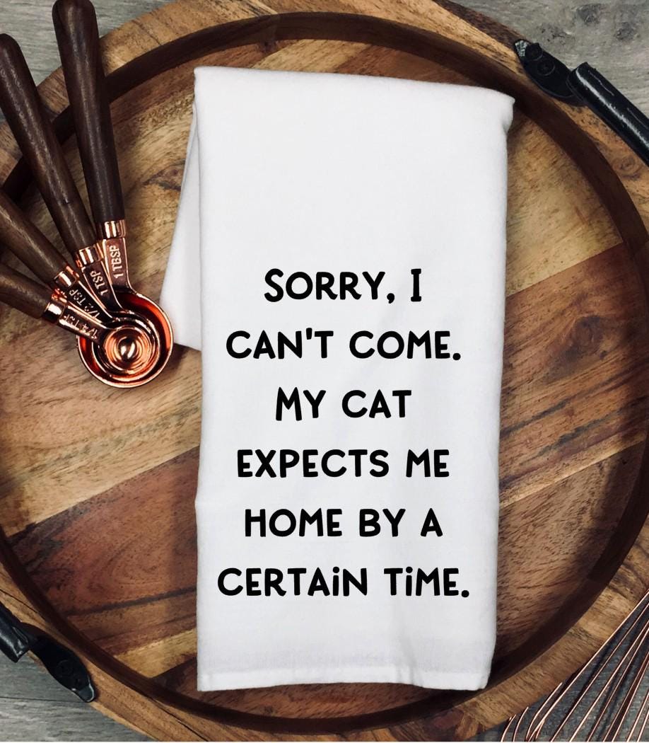 Funny Cat Lover Tea Towel, Cat Mom Gift, Cat Owner Humor, Pet Lover Kitchen Towel, Crazy Cat Lady Present